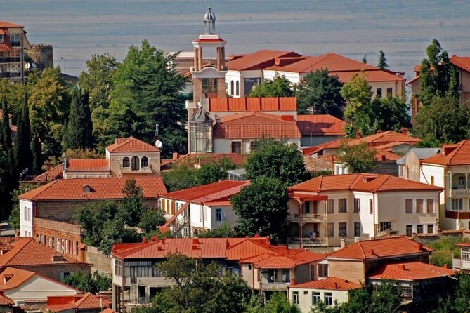 Private Transfer From Yerevan to Tbilisi or Vice Versa - Traveling With Infants and Accessibility