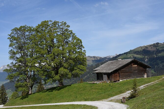 Private Transfer From Zurich to Gstaad With English Speaking Driver - Booking Confirmation and Service Details