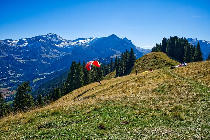 Private Transfer From Zurich to Gstaad With Stops - Comfortable and Luxurious Vehicles