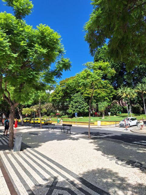 Private Transfer Funchal to Airport - Driver Languages and Pickup