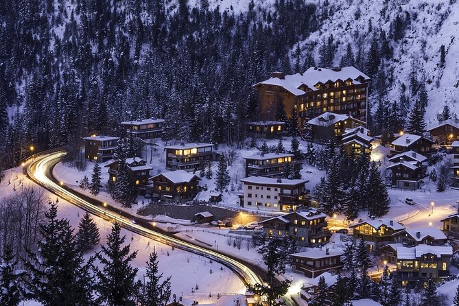 Private Transfer in the Alps From Zurich to Val Thorens, English Speaking Driver - Accessibility and Traveler Information