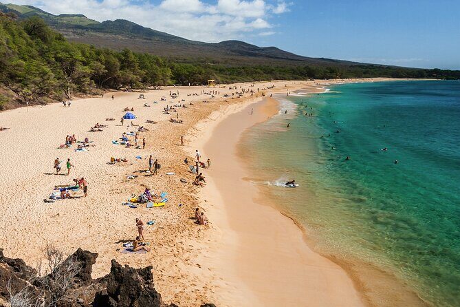 Private Transfer Kahului Airport OGG to Maui Kihei Lahaina Wailea - Pricing and Value