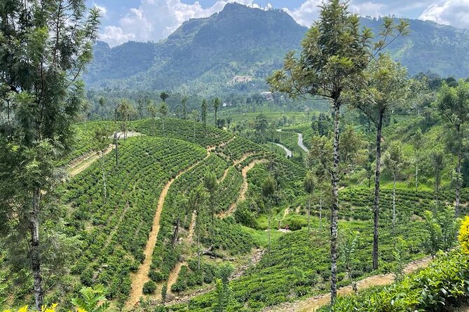 Private Transfer - Kandy to Ella Drop off and Pick up - Cancellation Policy
