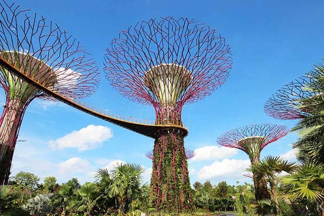 Private Transfer : Kuala Lumpur to Singapore - Reviews