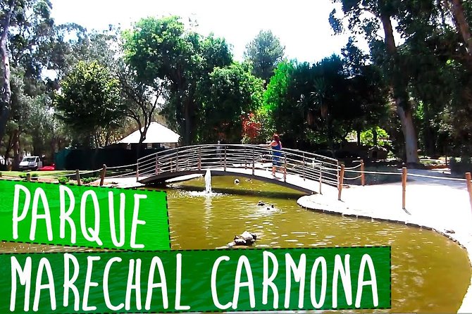 Private Transfer Lisbon Airport - Cascais - Comfortable and Spacious Vehicles