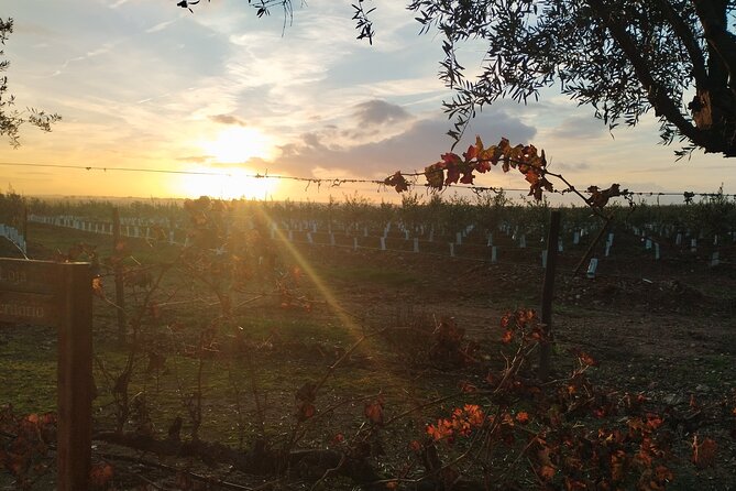 Private Transfer Lisbon to Porto - Booking and Payment Options