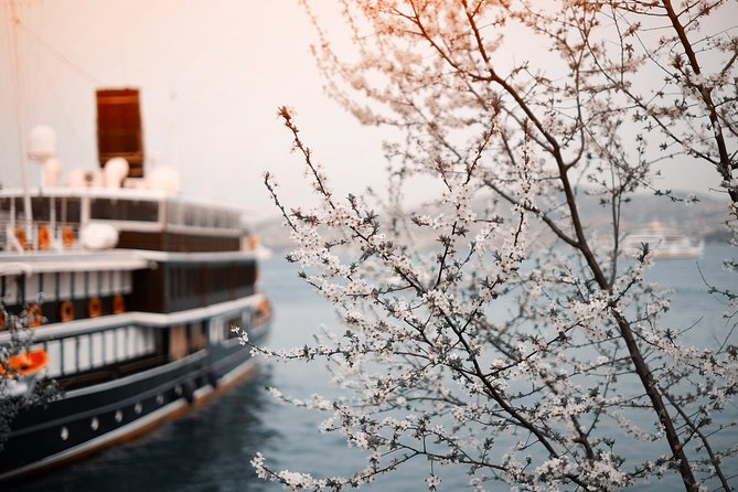 Private Transfer- Munich to River Cruise Dock Nuremberg: Port / Harbor Transport - Good To Know