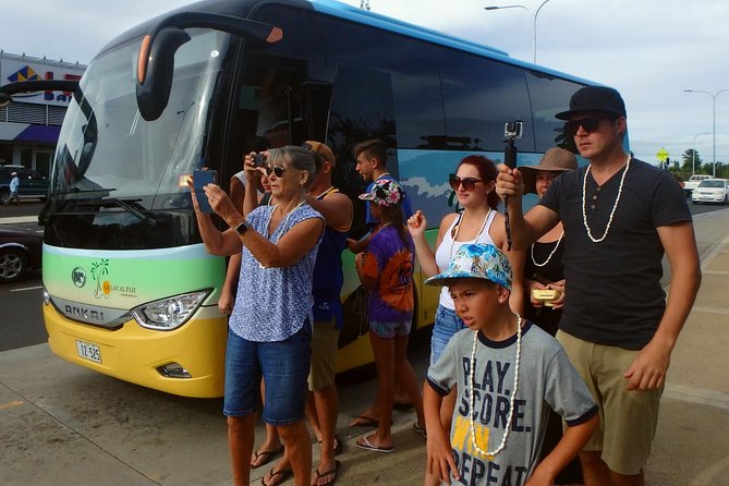 Private Transfer: Nadi Airport to Suva - 5 to 8 Seat Vehicle - Overview of the Service