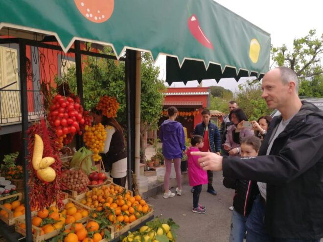 Private Transfer Naples to Amalfi Coast or Vice Cersa - Service Exclusions