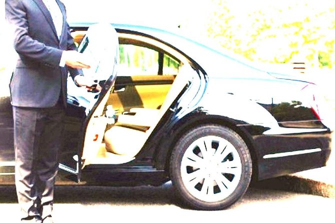 Private Transfer Naples to Roma - Accessibility Options