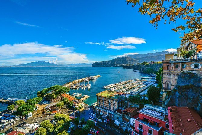 Private Transfer-Naples to Sorrento With 2h of Sightseeing: Vesuvius or Pompeii - Pickup and Drop-off Logistics