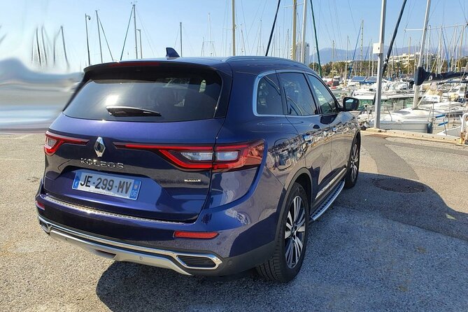 Private Transfer Nice Airport to the Center of Nice - Accessibility Information