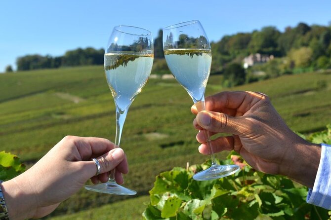 Private Transfer: Paris Airport CDG to Champagne or Reims in Van - What To Expect