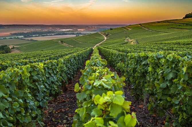 Private Transfer: Paris Airport CDG to Champagne or Reims in Van - Professional and Reliable Service