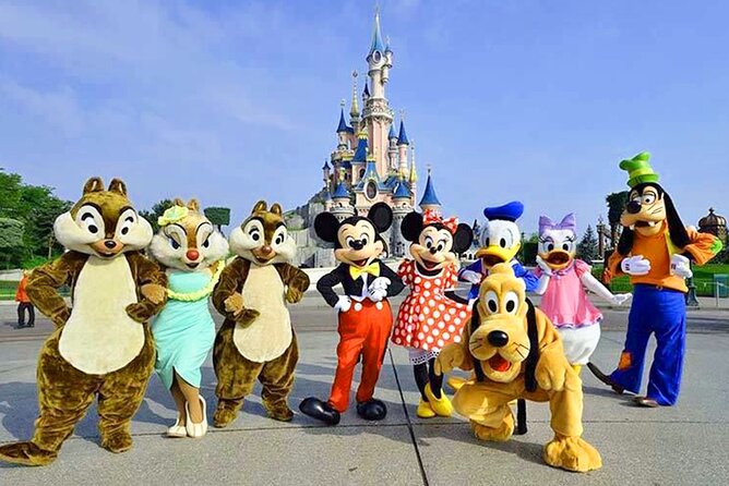 Private Transfer: Paris Airport CDG to Disneyland in Luxury Van - Drop-Off Point at Disneyland Paris Address