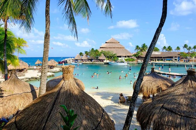 Private Transfer: Playa Del Carmen to CanCUN Airport CUN in SUV - Traveler Reviews