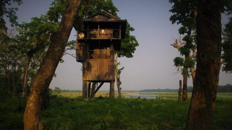 Private Transfer : Pokhara to Chitwan (Sauraha) by A.C Car - Journey Experience and Highlights