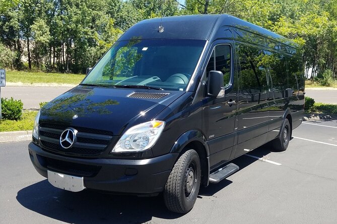 Private Transfer Punta Cana Airport To/From Barcelo Bavaro Beach - Drop-off Points