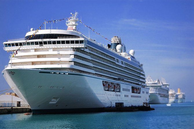 Private Transfer: Rome Airport FCO to Port of Civitavecchia in Luxury Van - Service Details