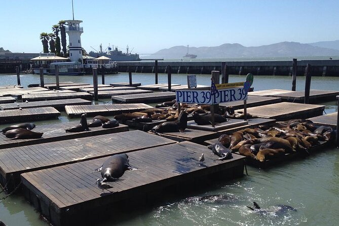 Private Transfer San Francisco Cruise Port to San Francisco City by Business Car - Travel Logistics and Luggage Allowance