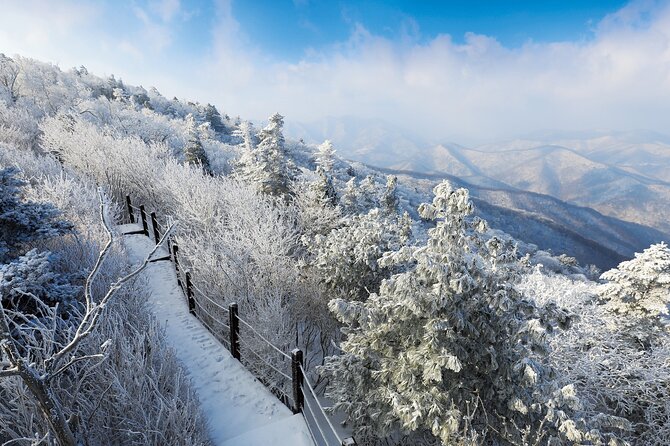 Private Transfer - Seoul Alpensia / Yongpyong Ski Resort - Inclusions