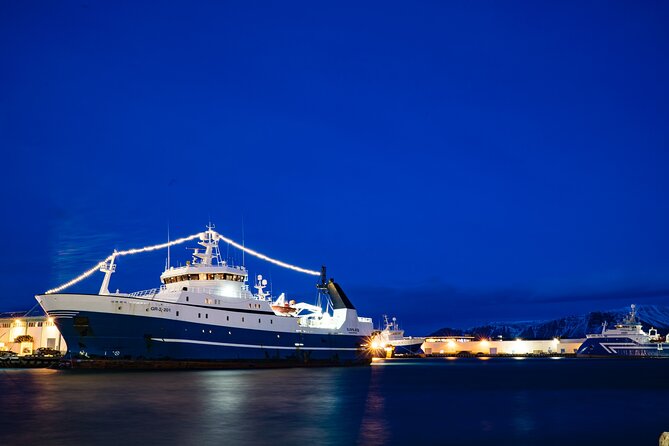 Private Transfer Service From Hotels in Reykjavik to Cruise Ship Terminal - Included in the Service