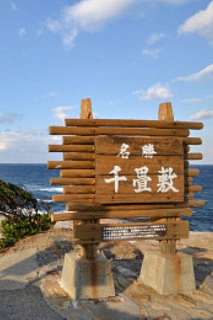 Private Transfer Service From Osaka to /From Wakayama. - Communication Channels