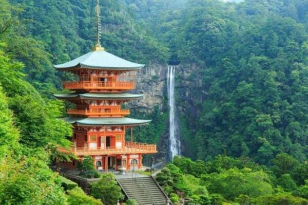 Private Transfer Service From Osaka to /From Wakayama. - Booking and Cancellation Policy