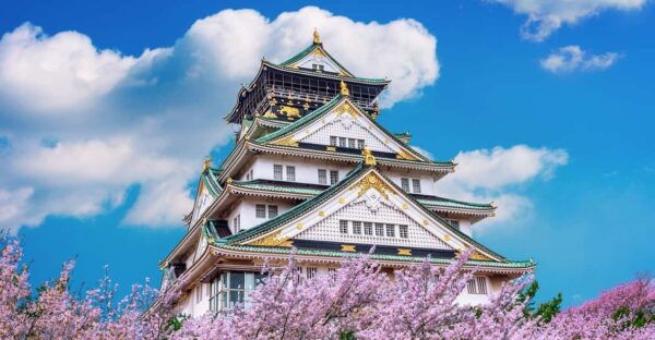 Private Transfer Service From Osaka to /From Wakayama. - Travel Experience and Itinerary