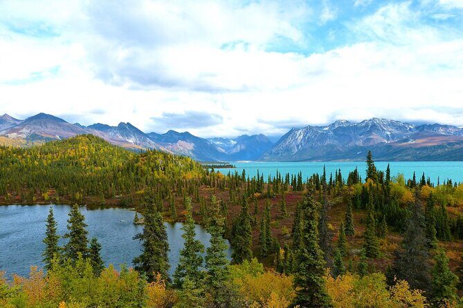 Private Transfer, Seward Cruise ship to Anchorage - FAQs