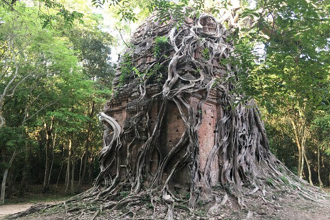 Private Transfer Siem Reap - Phnom Penh with Stop Sightseeing - Good To Know