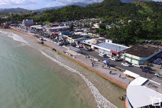 Private Transfer: SJU Airport or Port to Humacao and Nagüabo - Who Will Benefit Most from This Service?