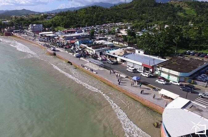 Private Transfer: SJU Airport or Port to Humacao and Nagüabo - Additional Details and Practical Tips