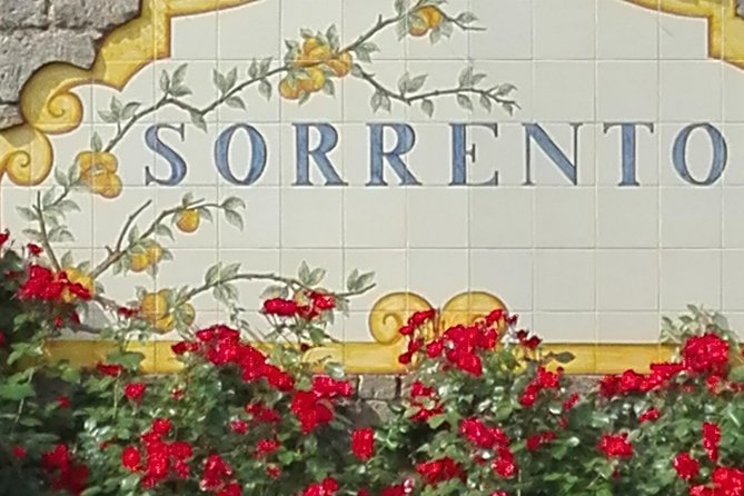 Private Transfer Sorrento Naples - Service Details