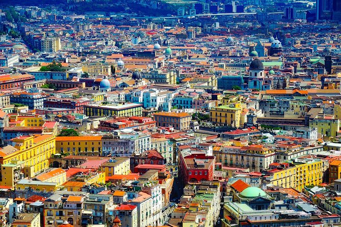 Private Transfer-Sorrento to Naples With 2h of Sightseeing: Vesuvius or Pompeii - Infant and Accessibility Information