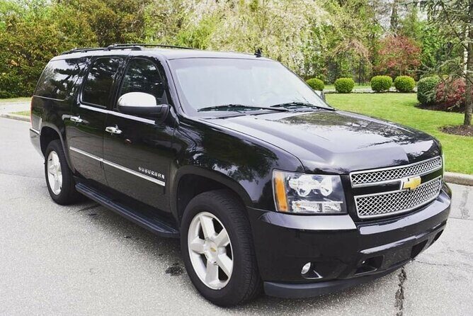 private transfer standard and premium punta cana airport / samana / galera - An In-Depth Look at the Transfer Experience