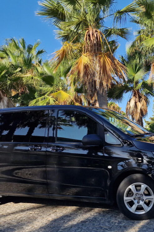 Private Transfer: Tarifa/Gibraltar to Faro/Lagos - Pickup and Driver Details