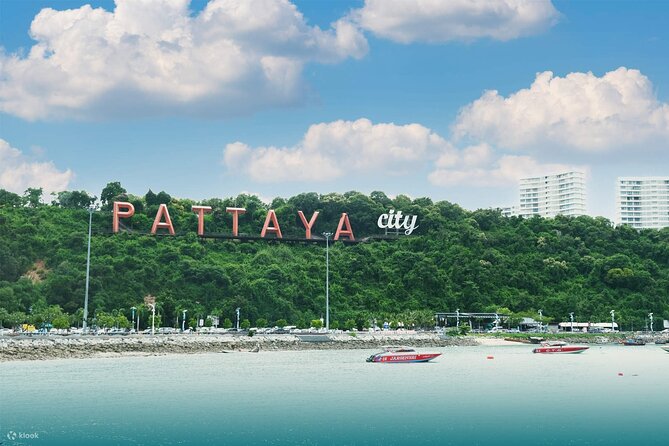Private Transfer Taxi and Shuttle Bangkok From /To Pattaya - Various Meeting Points Available