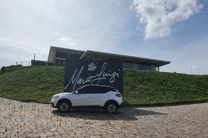 Private Transfer to Airports, Tours and Events. Driver(Driver/Guide). - Service Inclusions