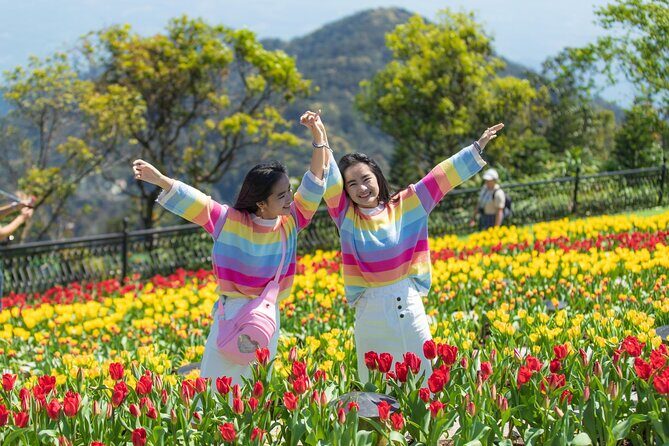 Private Transfer to Ba Na Hills - Who Is This Tour Best For?