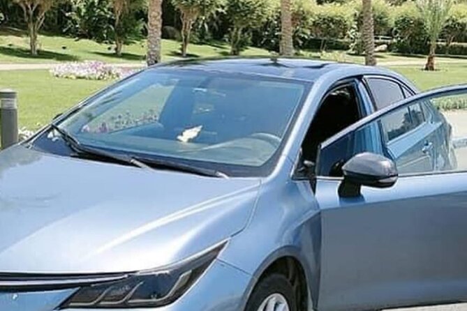 Private Transfer to Cairo and Giza From Cairo Airport - The Sum Up