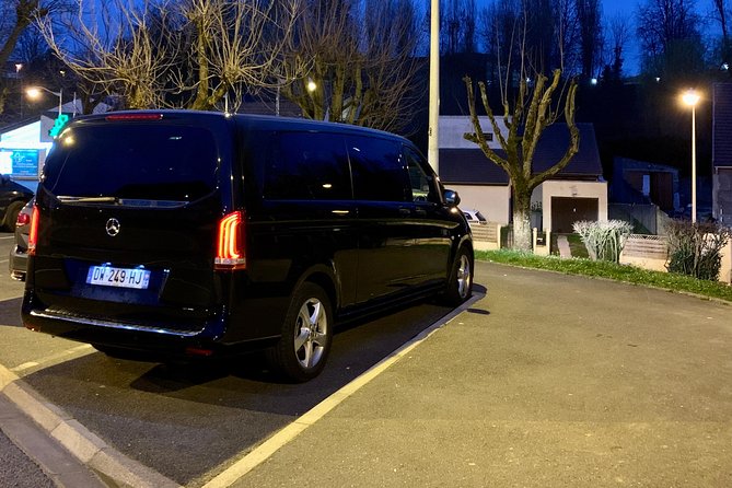 Private Transfer to Disneyland Park - Safety and Security Measures