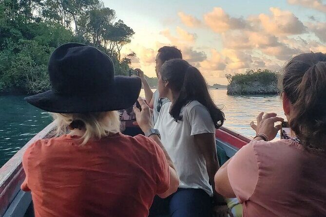 Private Transfer To/From Montego Bay & Airport MBJ Across Jamaica - Final Thoughts: Is This Transfer Right for You?