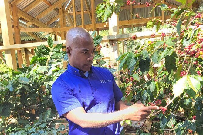 Private Transfer To & From New Kingston to Norman Manley Airport - Final Thoughts