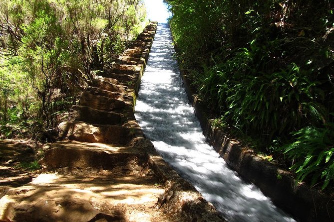 Private Transfer to Levada Do Alecrim - Rosemary Levada (Easy) - Good To Know