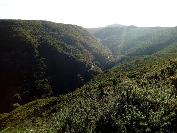 Private Transfer to Levada Do Alecrim - Rosemary Levada (Easy) - Meeting and Pickup Details