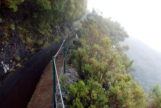 Private Transfer to Levada Do Alecrim - Rosemary Levada (Easy) - Price and Booking Information