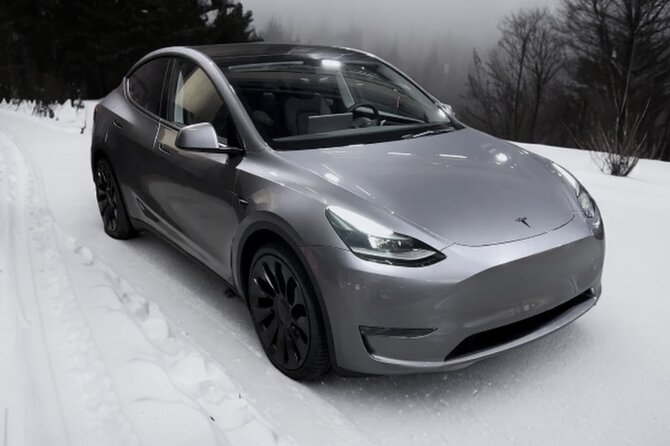 Private Transfer to or From International Airport - Reviews