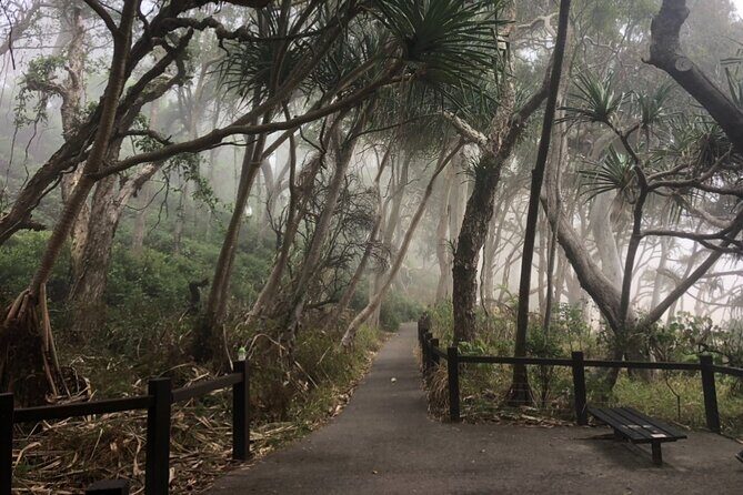 Private Transfer to or from Sunshine Coast Airport (MCY) - Deep Dive into the Experience