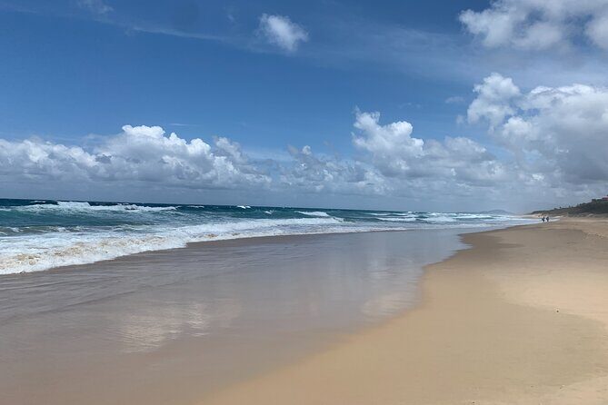 Private Transfer to or from Sunshine Coast Airport (MCY) - Practical Details & Tips